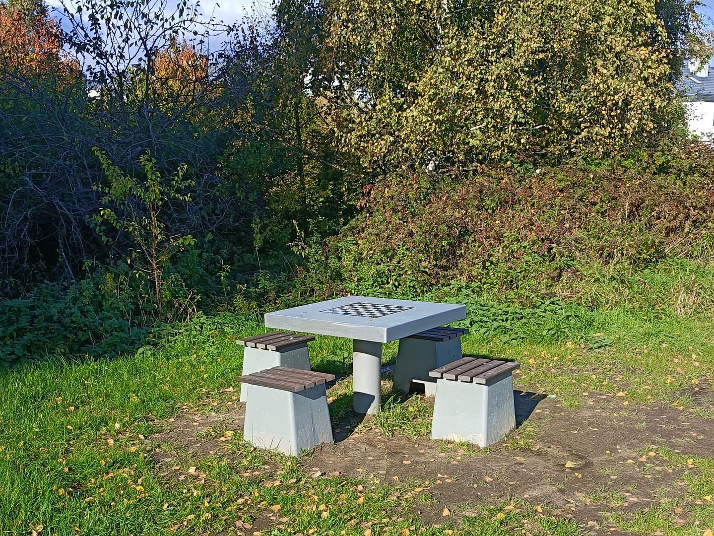 stół do gry w szachy